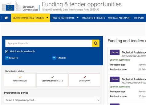 funding and tenders portal|eu funding and tenders portal login.